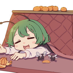 This is a pixiv picture whose title is こたつリグル.