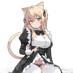 This is a pixiv picture whose title is ねこめいど.