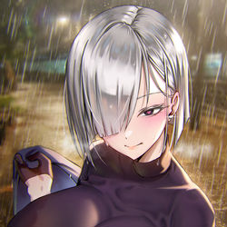 This is a pixiv picture whose title is 夜帷.