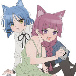 This is a pixiv picture whose title is ねこ.