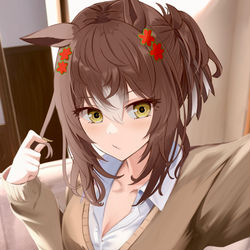 This is a pixiv picture whose title is ギャルファイン.