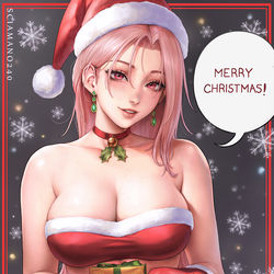This is a pixiv picture whose title is Chloe Santa - OC.