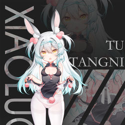 This is a pixiv picture whose title is 兔糖糖.