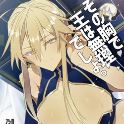 This is a pixiv picture whose title is 【C101新刊】その胸で王は無理でしょ。(獅子アグ本).