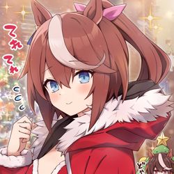 This is a pixiv picture whose title is クリスマスなテイオーとルドルフ会長！.