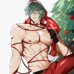 This is a pixiv picture whose title is Santa Alhaitham.