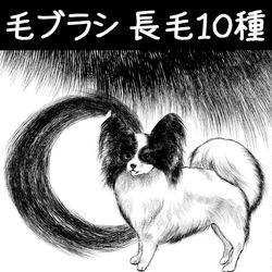 This is a pixiv picture whose title is 毛ブラシ_長毛10種.