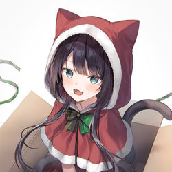 This is a pixiv picture whose title is クリスマスのお届け物🐾.