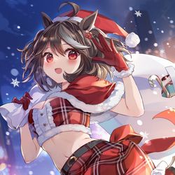 This is a pixiv picture whose title is キタサンタさん.
