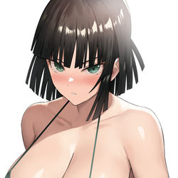 This is a pixiv picture whose title is フブキ.