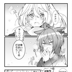This is a pixiv picture whose title is ゆく年くる年なタキモル♀.