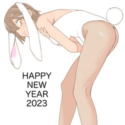 This is a pixiv picture whose title is あけましておめでとうございます.