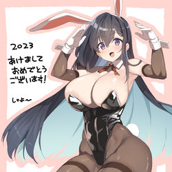 This is a pixiv picture whose title is 2023あけおめイラスト.