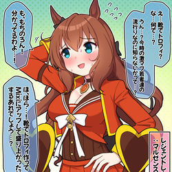 This is a pixiv picture whose title is レジェンドレースの後：マルゼンスキー.