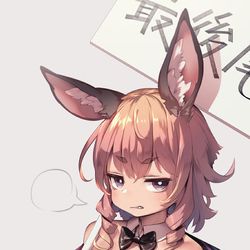 This is a pixiv picture whose title is 助っ人の花火さん.