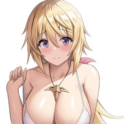 This is a pixiv picture whose title is シャルロット・デュノア.