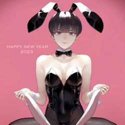 This is a pixiv picture whose title is 2023.