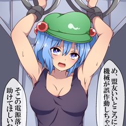This is a pixiv picture whose title is 助けを求めるにとりちゃん.