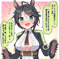 This is a pixiv picture whose title is レジェンドレースの後：フジキセキ.