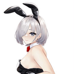 This is a pixiv picture whose title is あけおめばにー.