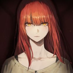 This is a pixiv picture whose title is マキマ.