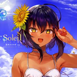 This is a pixiv picture whose title is ☀.