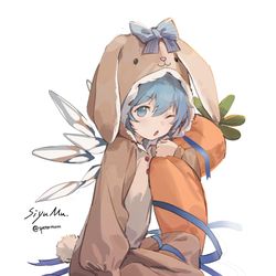 This is a pixiv picture whose title is チルノ.