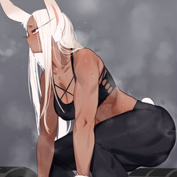 This is a pixiv picture whose title is ミルコさんのプライベートなトレーニング.