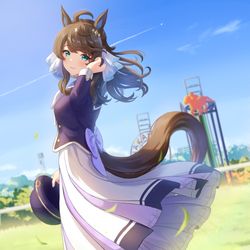 This is a pixiv picture whose title is ウィナーズレディなデアリングタクト.