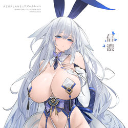 This is a pixiv picture whose title is Shinano Bunny.