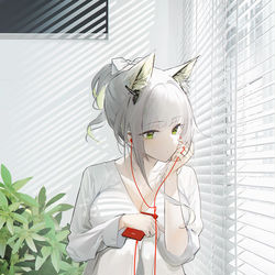 This is a pixiv picture whose title is 凯猫猫    窗.