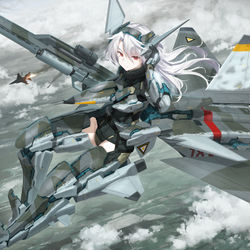 This is a pixiv picture whose title is MiG-1.44 ベルカ空軍所属機.