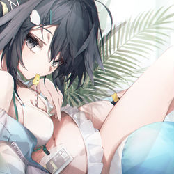 This is a pixiv picture whose title is 夏の花弁.