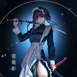 This is a pixiv picture whose title is Raiden.