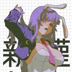 This is a pixiv picture whose title is あけましておめでとう(激遅).