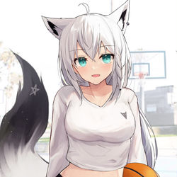 This is a pixiv picture whose title is 🏀🦊.