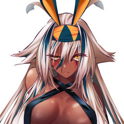 This is a pixiv picture whose title is ニトクリス・オルタ.