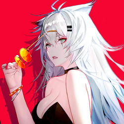 This is a pixiv picture whose title is ラップランド.