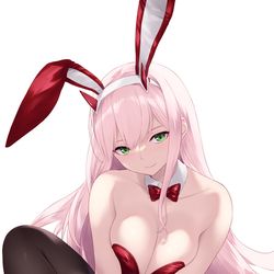 This is a pixiv picture whose title is ゼロツー.