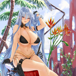 This is a pixiv picture whose title is セルベリア・ブレス.