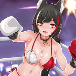 This is a pixiv picture whose title is 大神ボクシング.