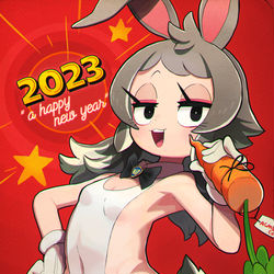 This is a pixiv picture whose title is 2023.