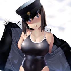 This is a pixiv picture whose title is あきつ丸.