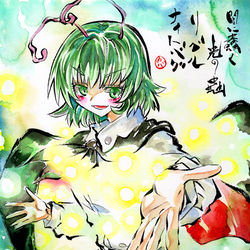 This is a pixiv picture whose title is リグル・ナイトバグ.