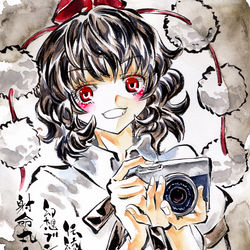 This is a pixiv picture whose title is 射命丸文.