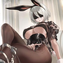 This is a pixiv picture whose title is 2B Bunny Girl..