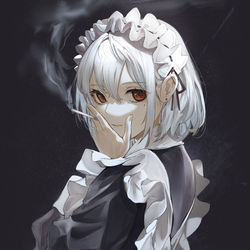 This is a pixiv picture whose title is maid.