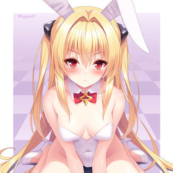 This is a pixiv picture whose title is 白バニーヤミちゃん.