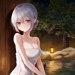 This is a pixiv picture whose title is 温泉.