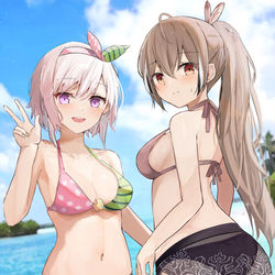 This is a pixiv picture whose title is inspiration.